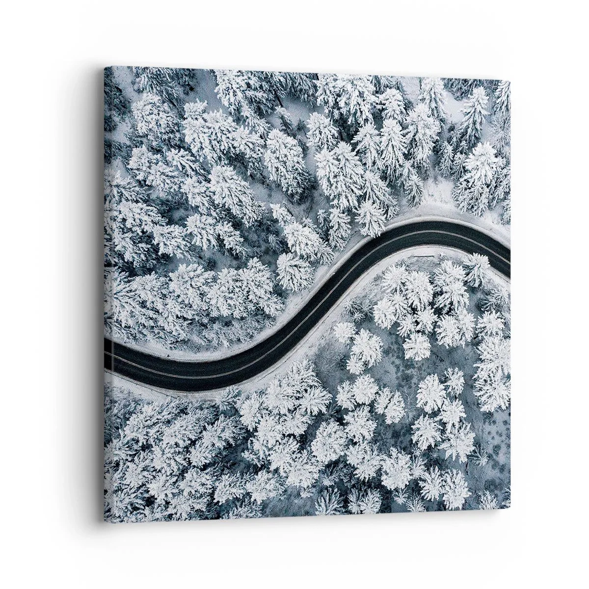 Canvastavla - Bild på duk - Genom vinterskogen - 30x30 cm