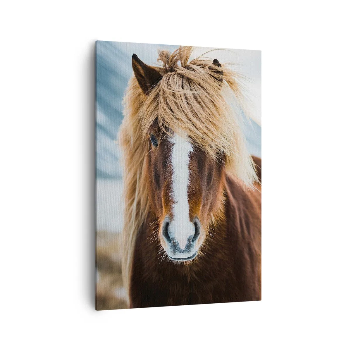 Canvastavla - Bild på duk - Känner du friheten? - 70x100 cm