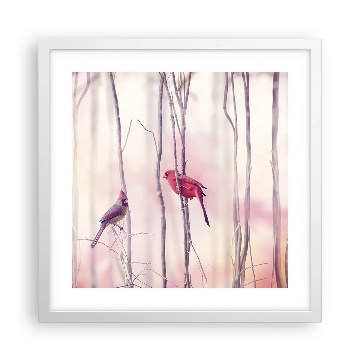 Affisch i vit ram - Rosa skogens saga - 40x40 cm