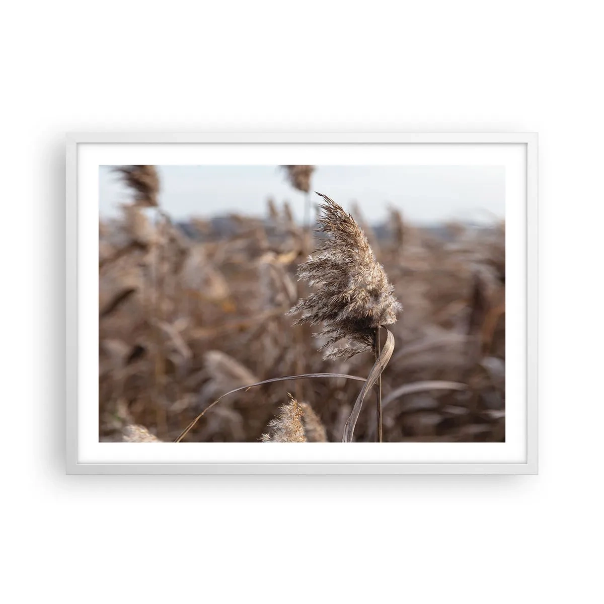 Affisch i vit ram - Dags att flyga bort med vinden - 70x50 cm