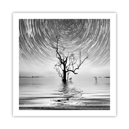 Affisch - Naturens symfoni - 60x60 cm