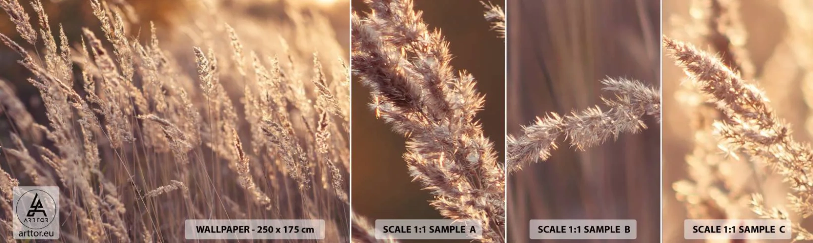 Provbit av självhäftande fototapet Deluxe Sticker - Redo att välkomna hösten - Landskap, Öron av säd, Äng - 100x30 cm