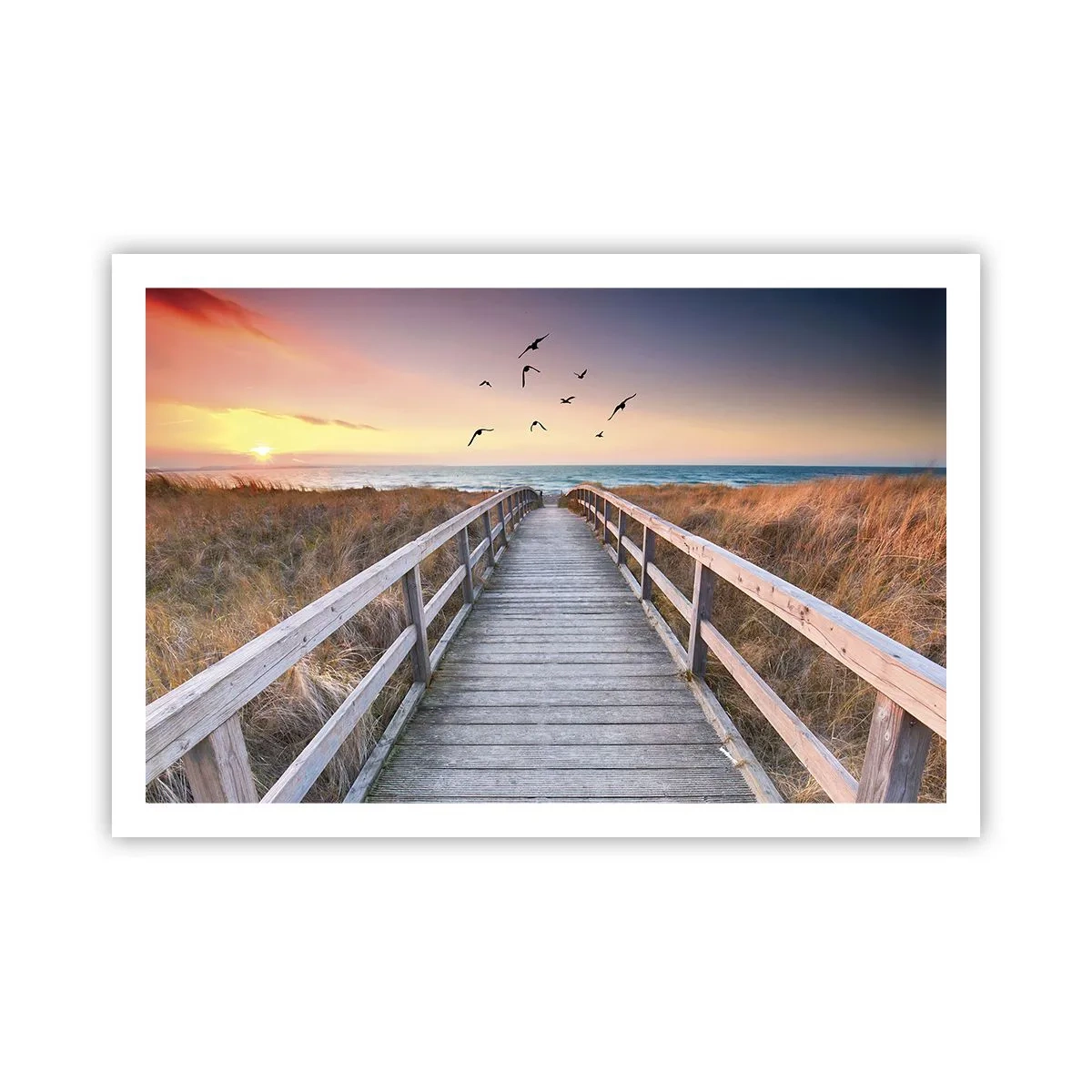 Affisch - Startbana - 91x61 cm