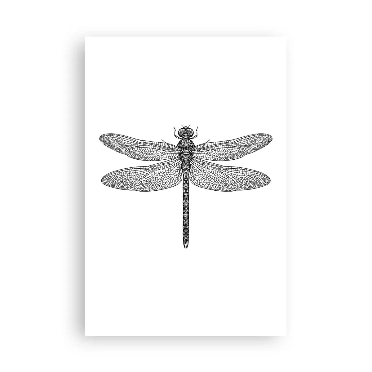 Affisch - Precision i naturen - 61x91 cm