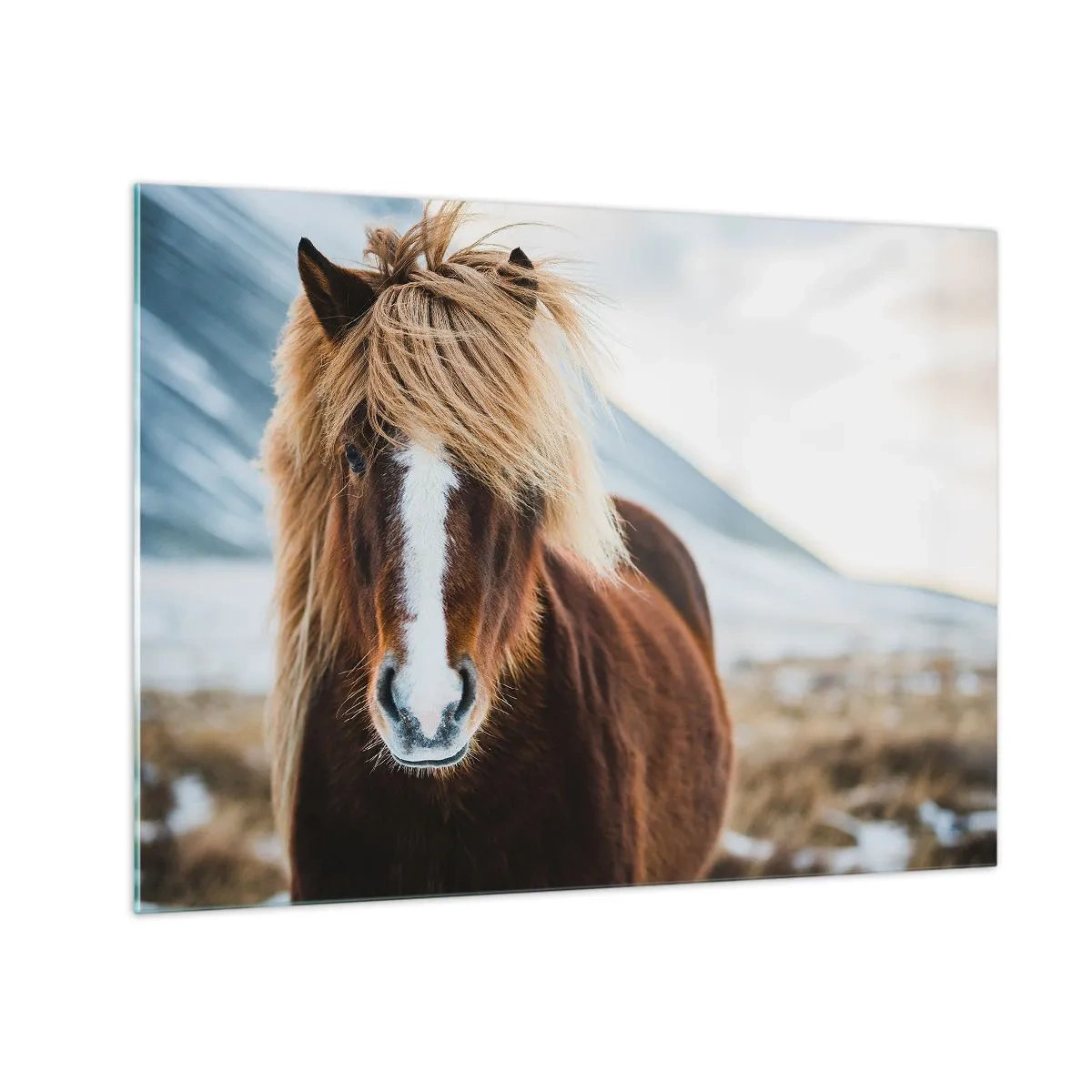 Glastavla - Bild på glas - En häst mot ett bergslandskap på vintern - 70x50cm - Känner du friheten? - Modern väggdekoration för vardagsrum och sovrum ARTTOR