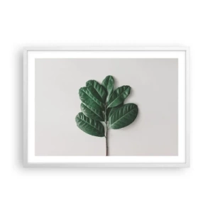 Affisch i vit ram - Själva naturens bild - 70x50 cm
