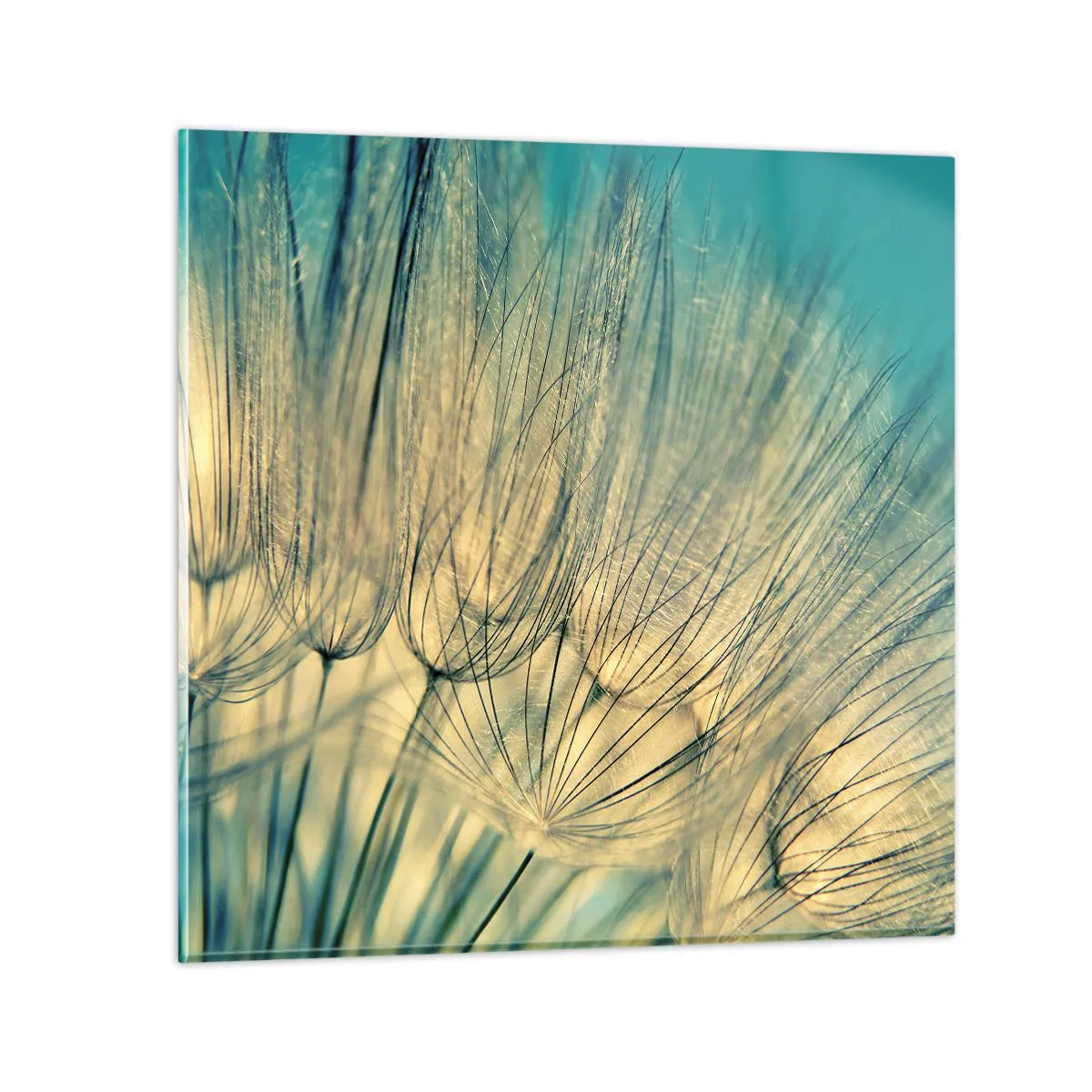 Glastavla - Bild på glas - I väntan på vinden - 60x60 cm