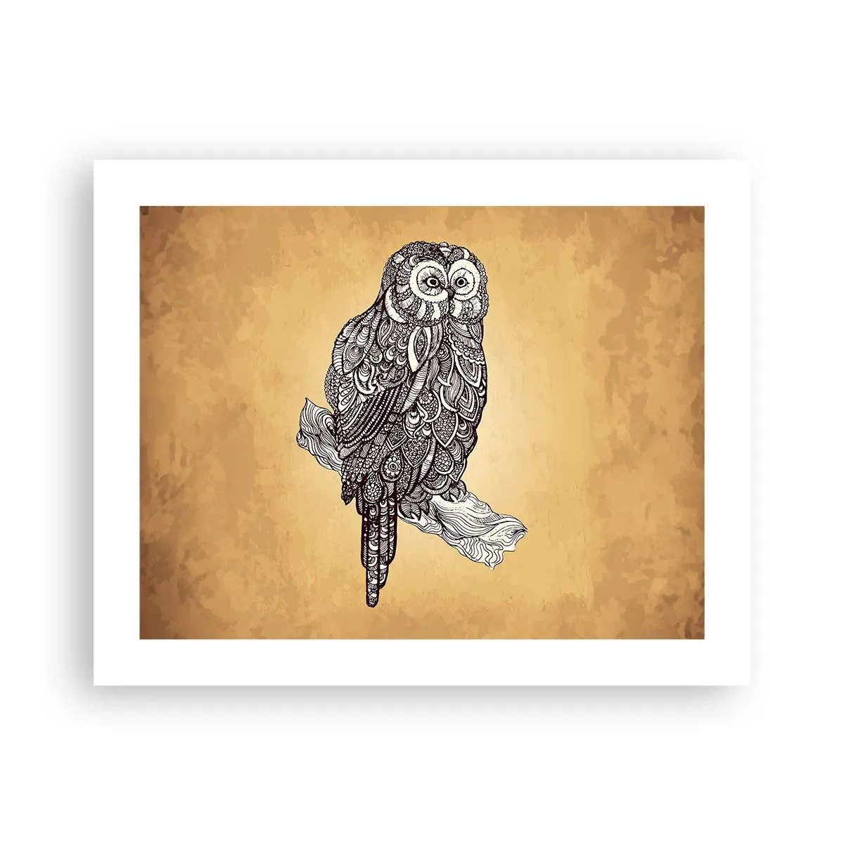 Affisch - Invecklade ornament av visdom - 50x40 cm