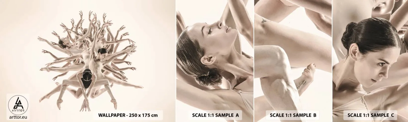 Provbit av självhäftande fototapet Deluxe Sticker - Blommar i dansen - Abstraktion, Bit, Balett - 100x30 cm