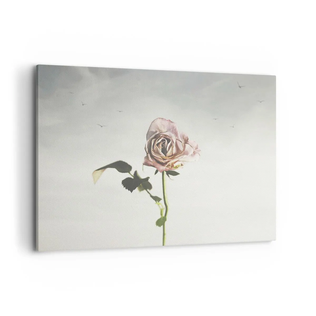 Canvastavla - Bild på duk - Vårens välkomst - 100x70 cm
