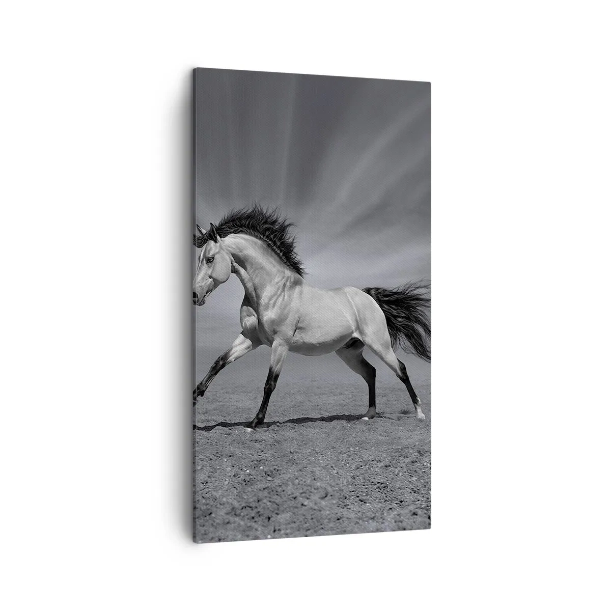 Canvastavla - Bild på duk - Född för att förtjusa - 45x80 cm