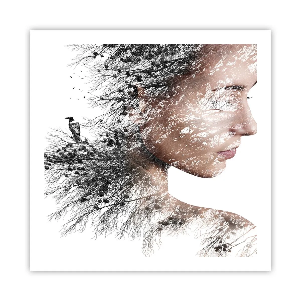 Affisch - Skogens ande - 60x60 cm