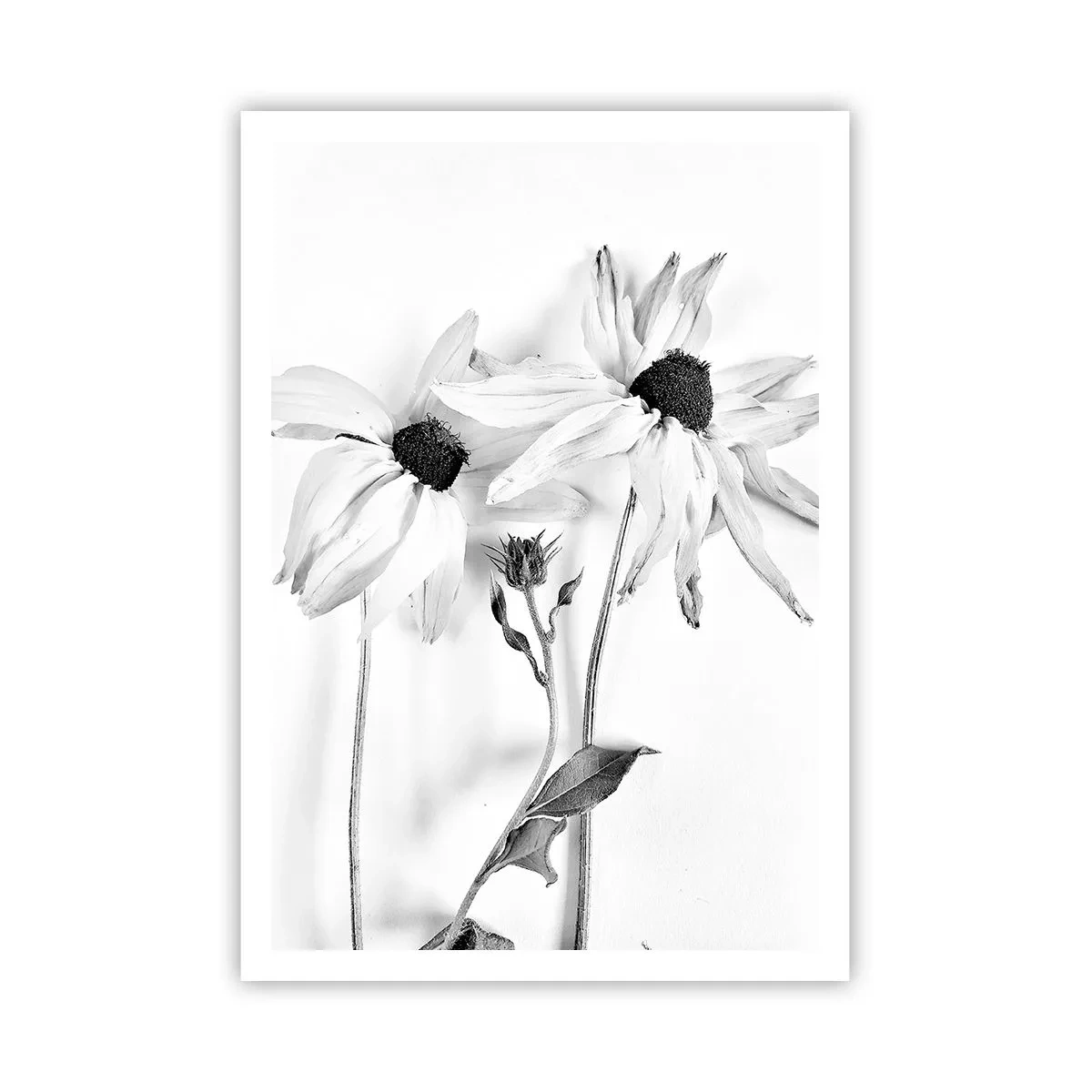 Affisch - Ingen vill vara ensam - 70x100 cm