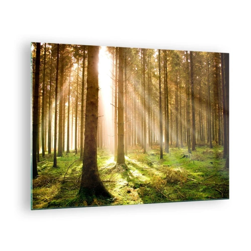 Glastavla - Bild på glas - Solstrålar som tränger igenom träden i skogen - 70x50cm - Snart kommer alverna - Modern väggdekoration för vardagsrum och sovrum ARTTOR