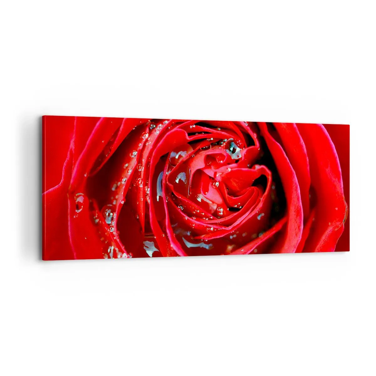 Canvastavla - Bild på duk - Daggdroppar - 100x40 cm