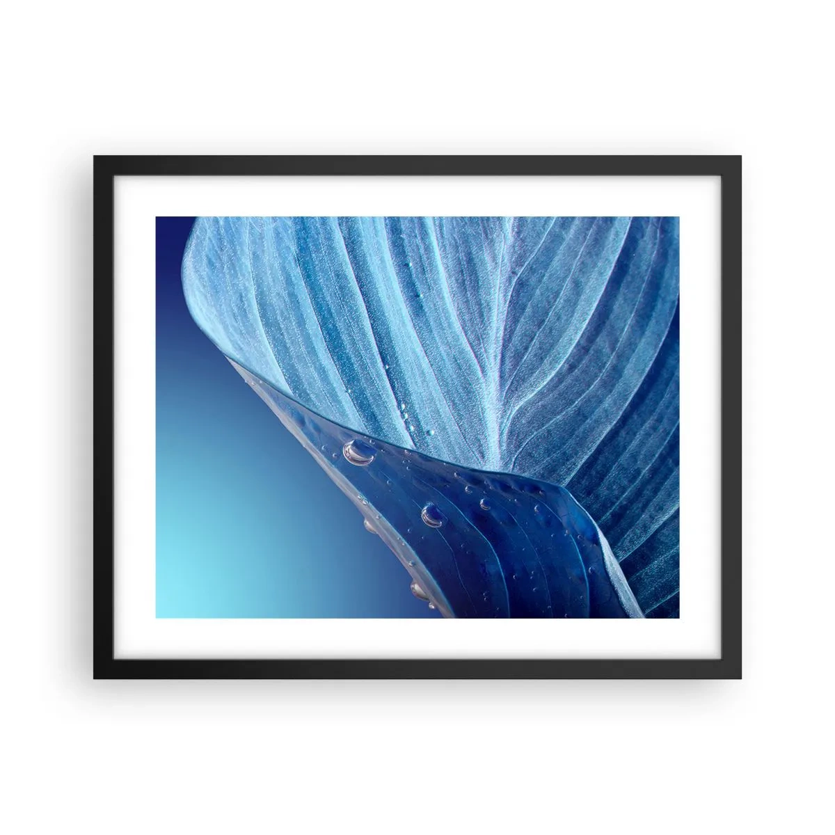 Affisch i svart ram - Dolda droppar av blått - 50x40 cm
