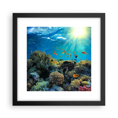Affisch i svart ram - Undervatenskatter - 30x30 cm
