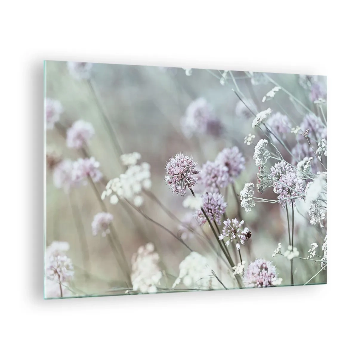 Glastavla - Bild på glas - Milda vildblommor i pastellfärger - 70x50cm - Söta örtfiligraner - Modern väggdekoration för vardagsrum och sovrum ARTTOR