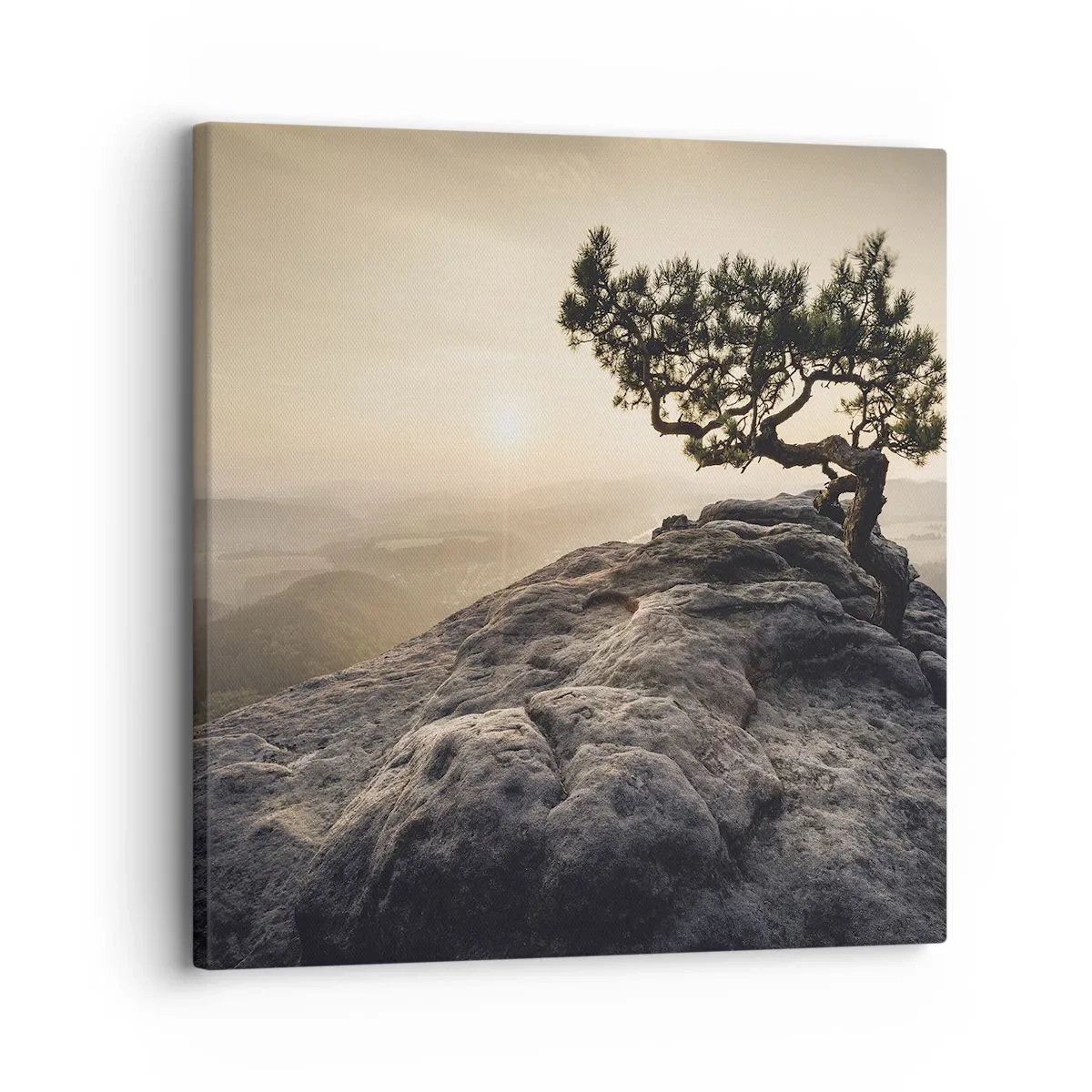 Canvastavla - Bild på duk - Livet vinner alltid - 30x30 cm