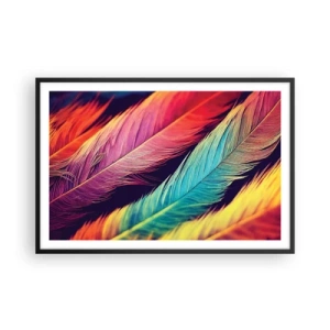 Affisch i svart ram - Fjäderlik regnbåge - 91x61 cm