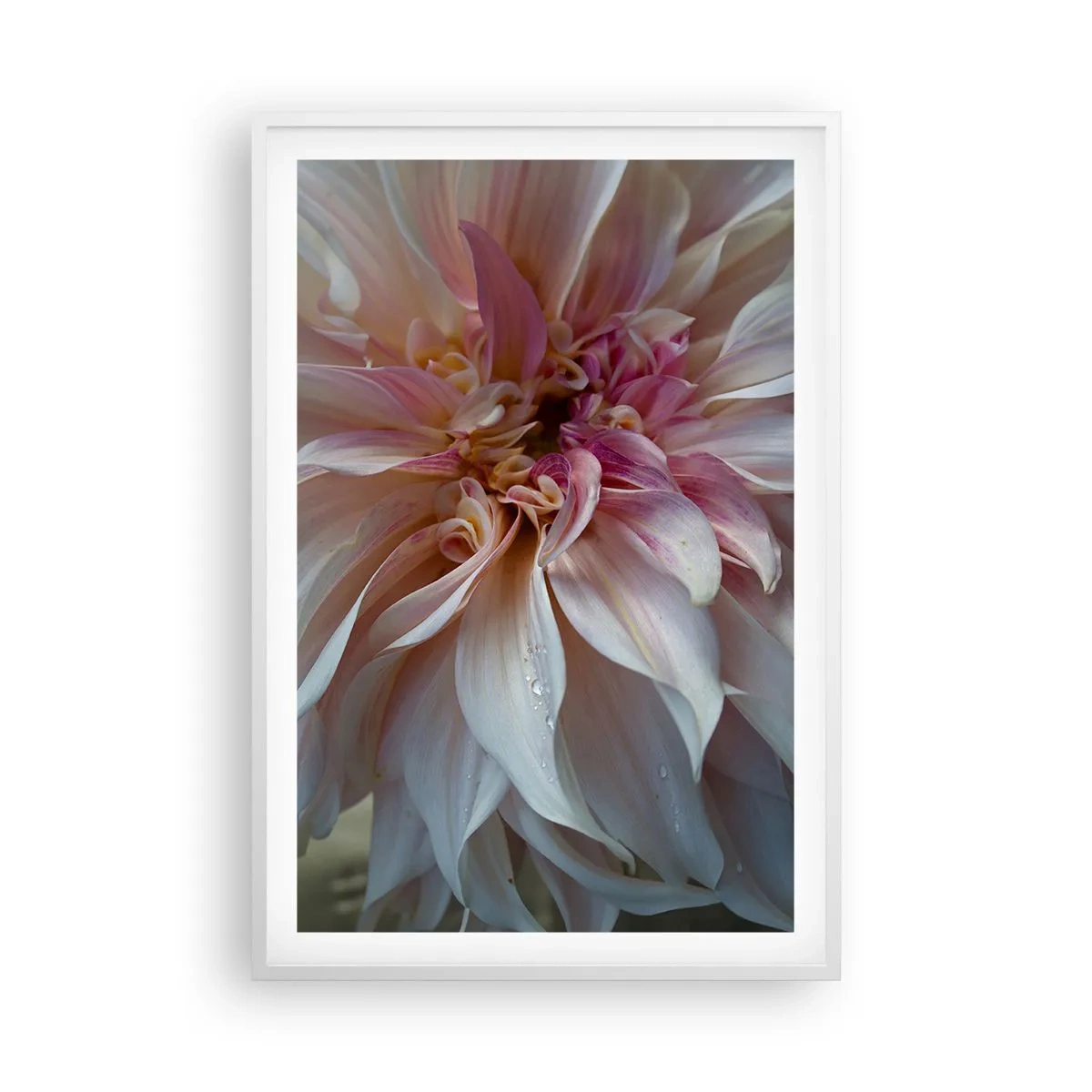 Affisch i vit ram - Blommande friskhet - 61x91 cm