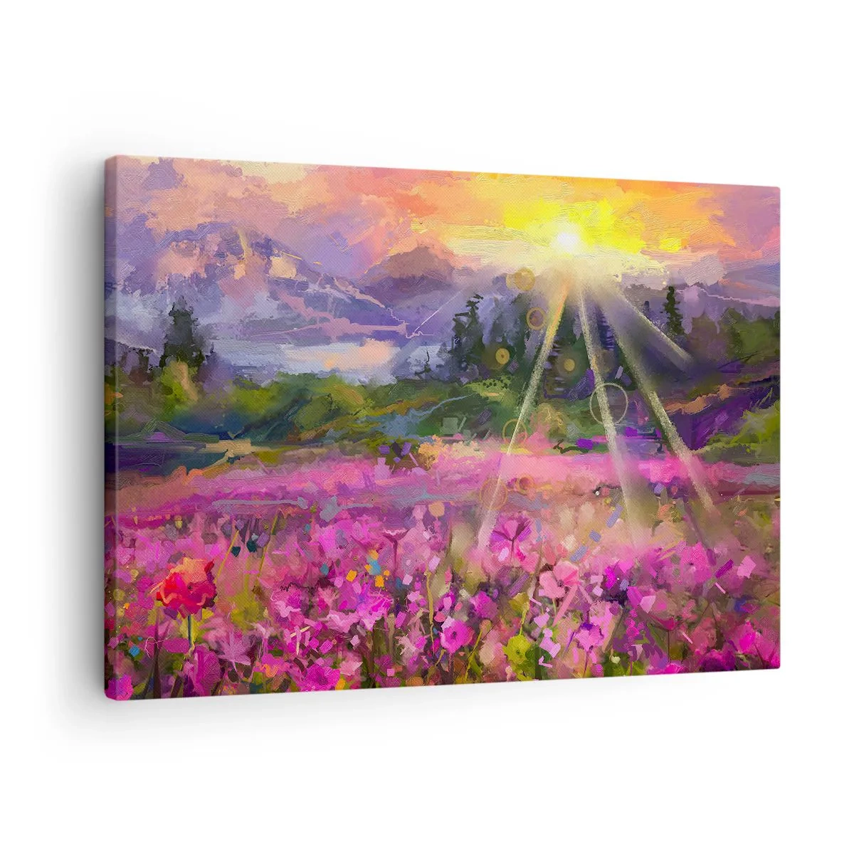 Canvastavla - Bild på duk - En pittoresk äng i den nedgående solens strålar - 70x50cm - I dalen under solens beskydd - Modern väggdekoration för vardagsrum och sovrum ARTTOR