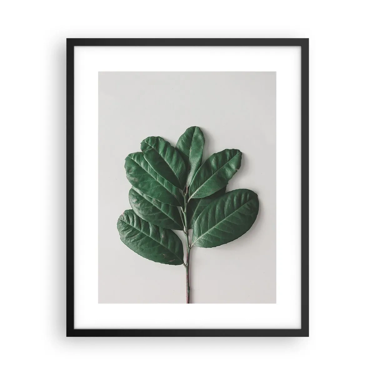 Affisch i svart ram - Själva naturens bild - 40x50 cm