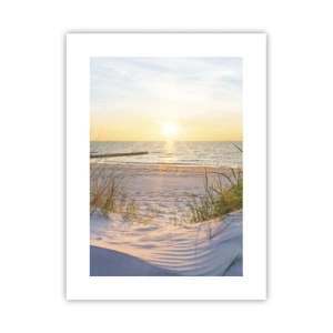 Affisch - Havets brus, fågelsång, tom strand bland träden - 30x40 cm