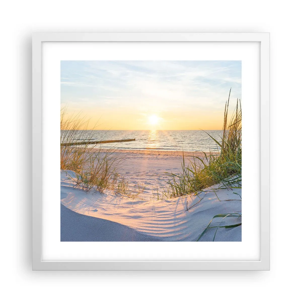 Affisch i vit ram - Havets brus, fågelsång, tom strand bland träden - 40x40 cm