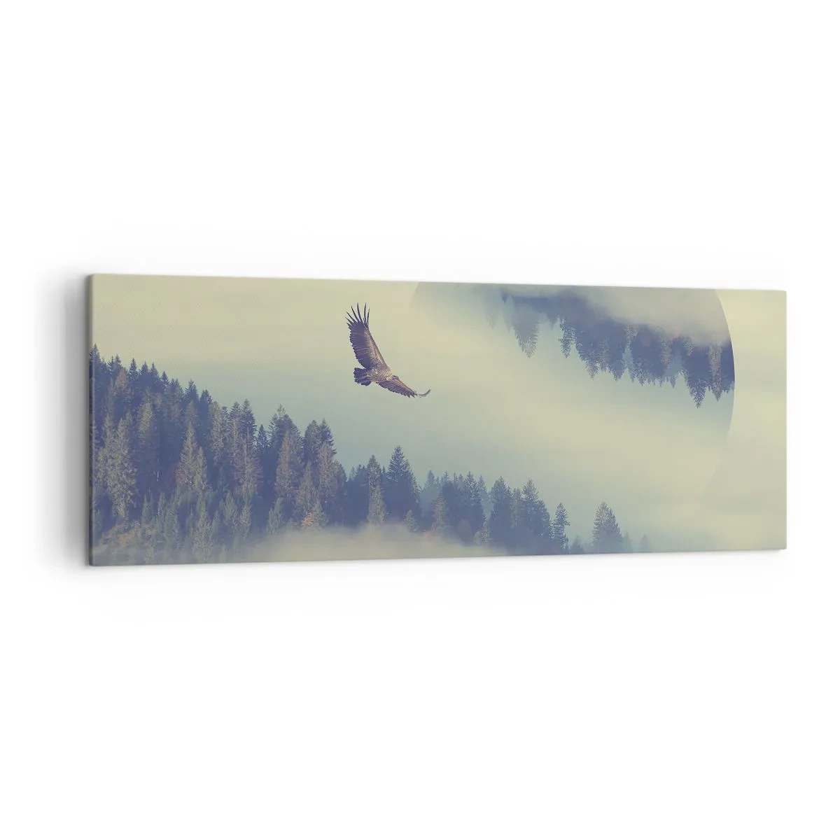 Canvastavla - Bild på duk - Örnens skugga - 140x50 cm