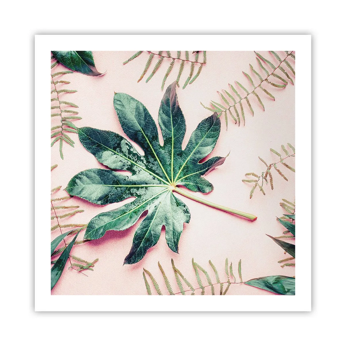 Affisch - Grönskans studie mot rosa bakgrund - 60x60 cm