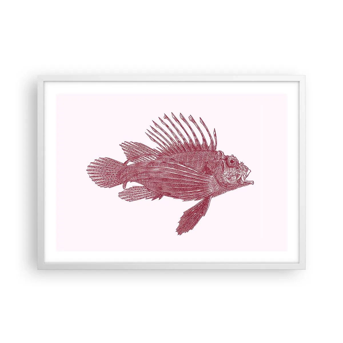 Affisch i vit ram - En invånare i exotiska vatten - 70x50 cm