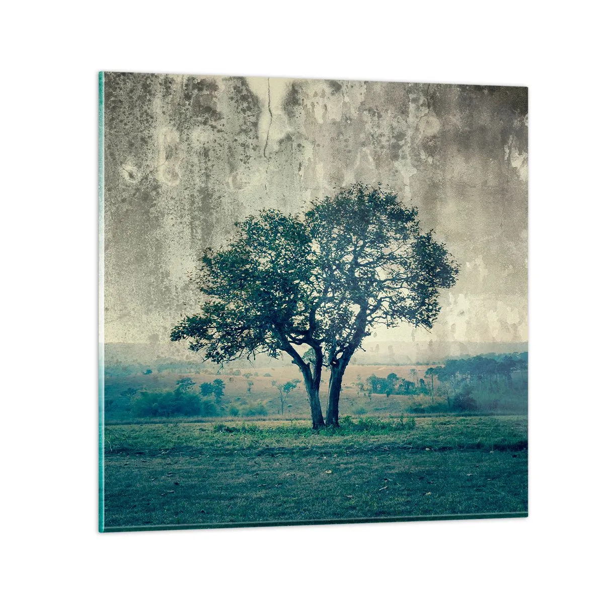Glastavla - Bild på glas - Äppelträd på blå betesmark? - 60x60 cm