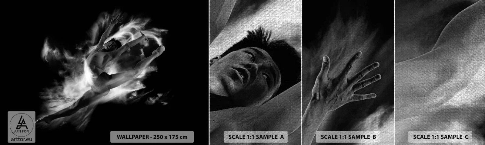 Provbit av fototapet Premium Canvas - Fångad i luften - Dansare, Balett, Kultur - 100x30 cm