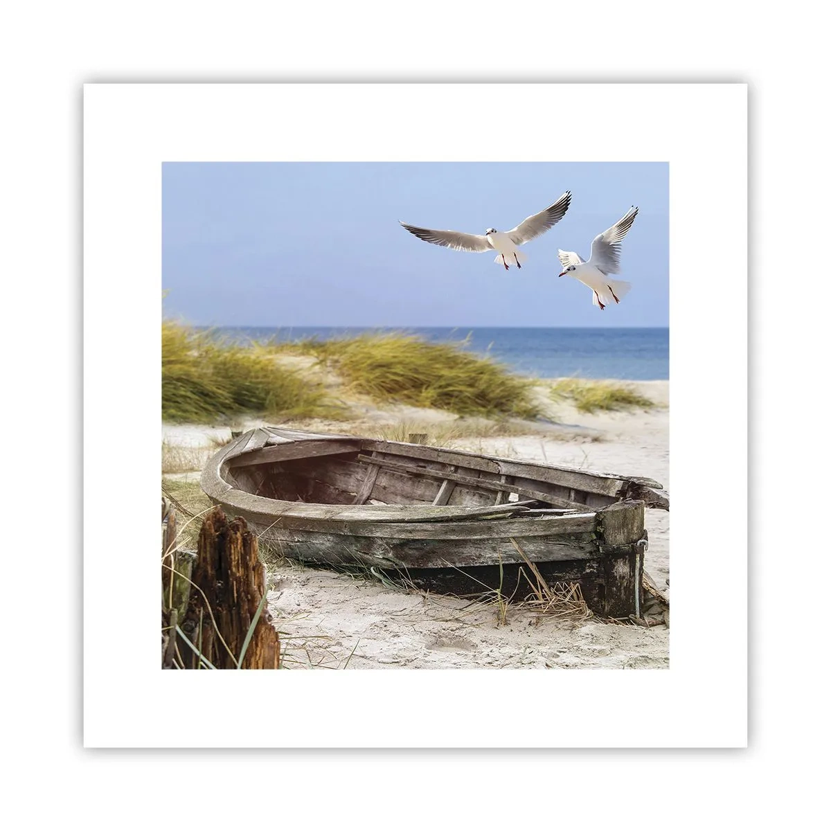 Affisch - Doppade i vinden - 30x30 cm