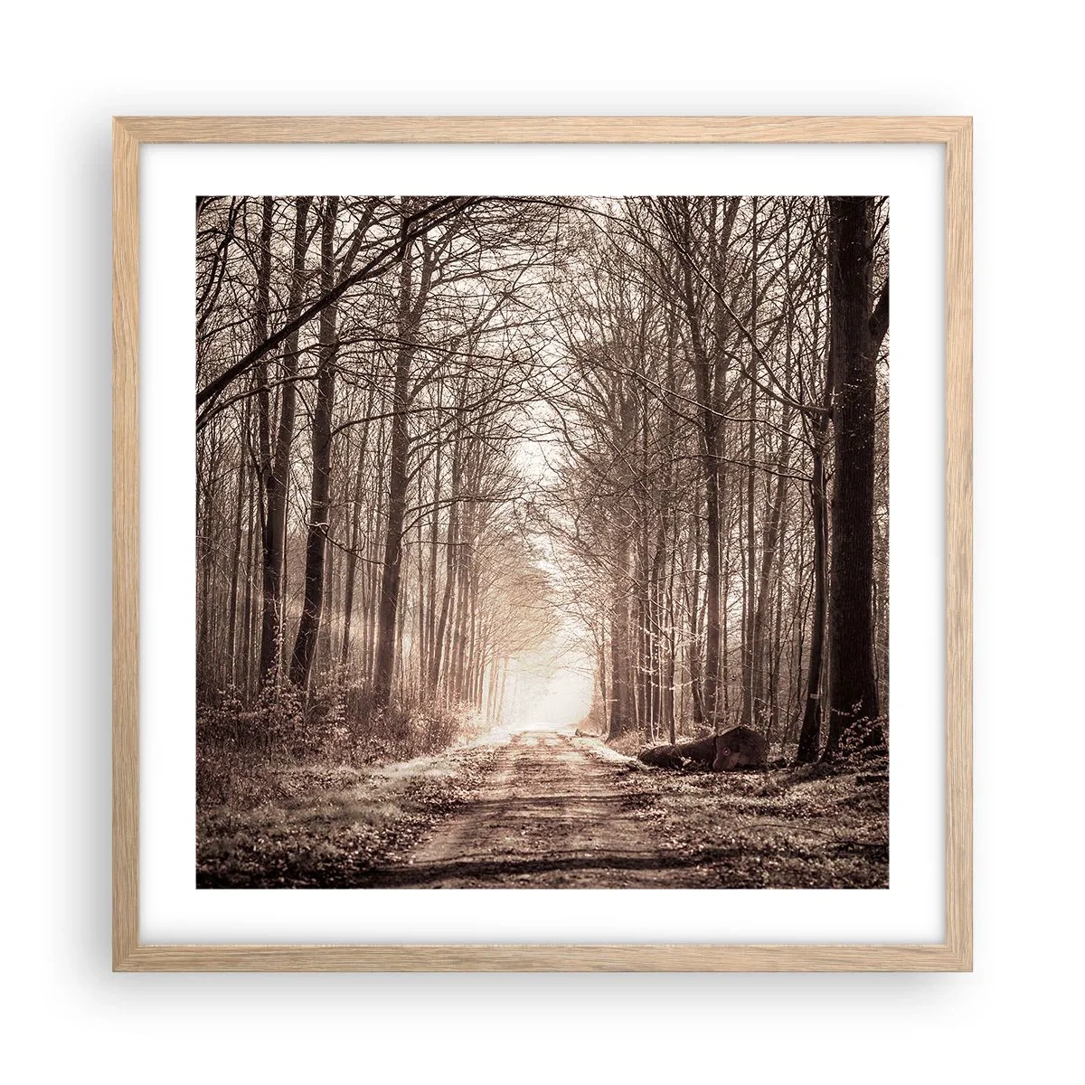 Affisch i ram av ljusek - Skogens domkyrka - 50x50 cm