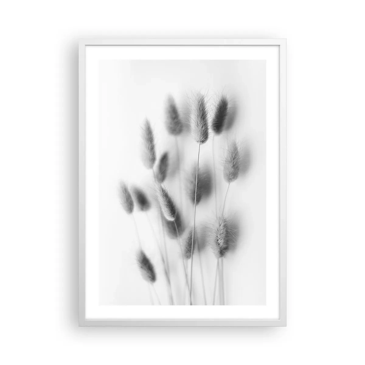 Affisch i vit ram - Fluffigt gräs - 50x70 cm