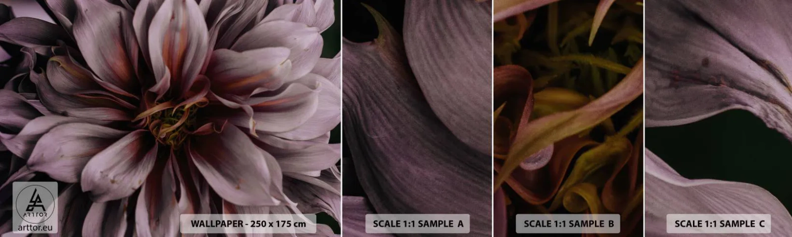 Fototapet Prov Standard Eco - Blommigt hjärta - Blombukett, Dahlia, Blomma - 100x30 cm