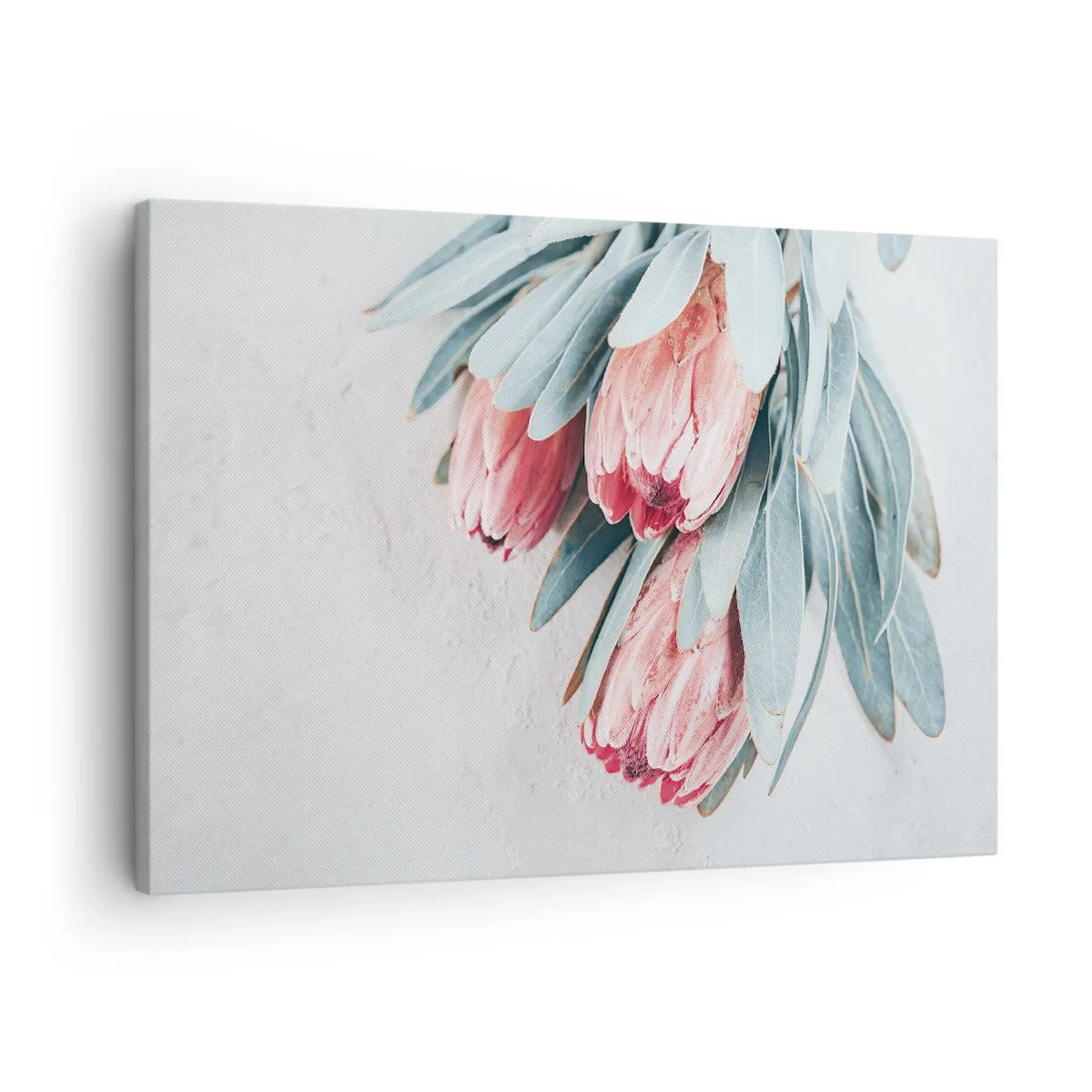 Canvastavla - Bild på duk - Subtila rosa proteablommor på en ljus bakgrund - 70x50cm - Generad av sin skönhet - Modern väggdekoration för vardagsrum och sovrum ARTTOR