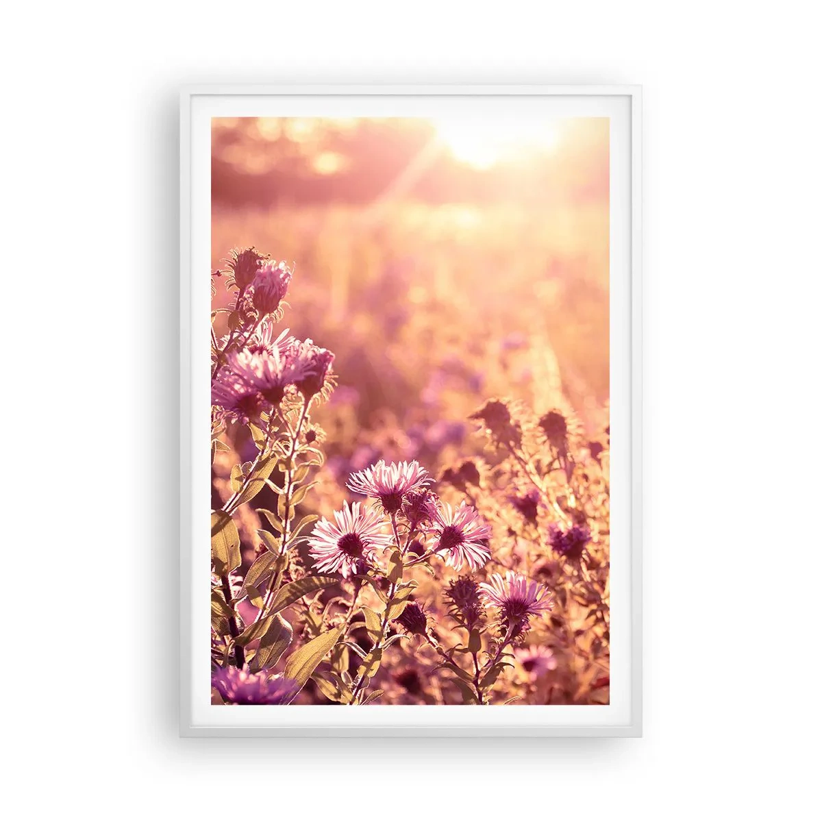 Affisch i vit ram - Innan sommaren går bort - 70x100 cm