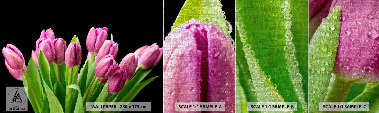 Provbit av fototapet Premium Canvas - Vårens lila glädje - Blommor, Tulpaner, Blombukett - 100x30 cm