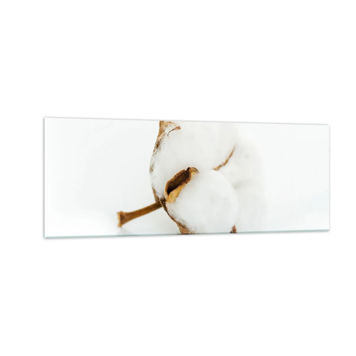 Glastavla - Bild på glas - Mjuk av naturen - 140x50 cm