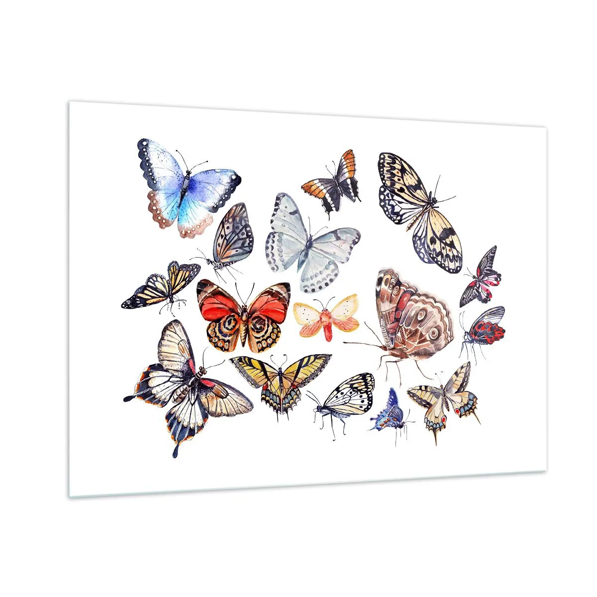 Glastavla - Bild på glas - Färgglada fjärilar - 100x70 cm