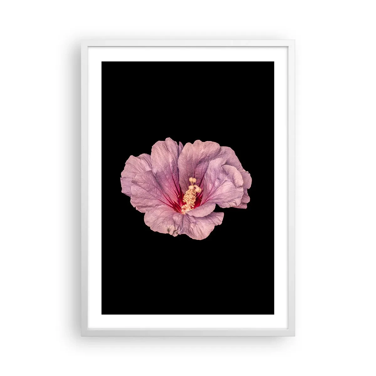 Affisch i vit ram - Rakt till hjärtat - 50x70 cm