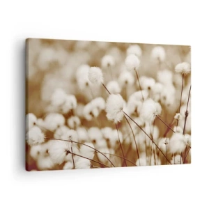 Canvastavla - Bild på duk - Ett fält av fina sepia-tonade växter - 70x50cm - Fluffig åkermark - Modern väggdekoration för vardagsrum och sovrum ARTTOR