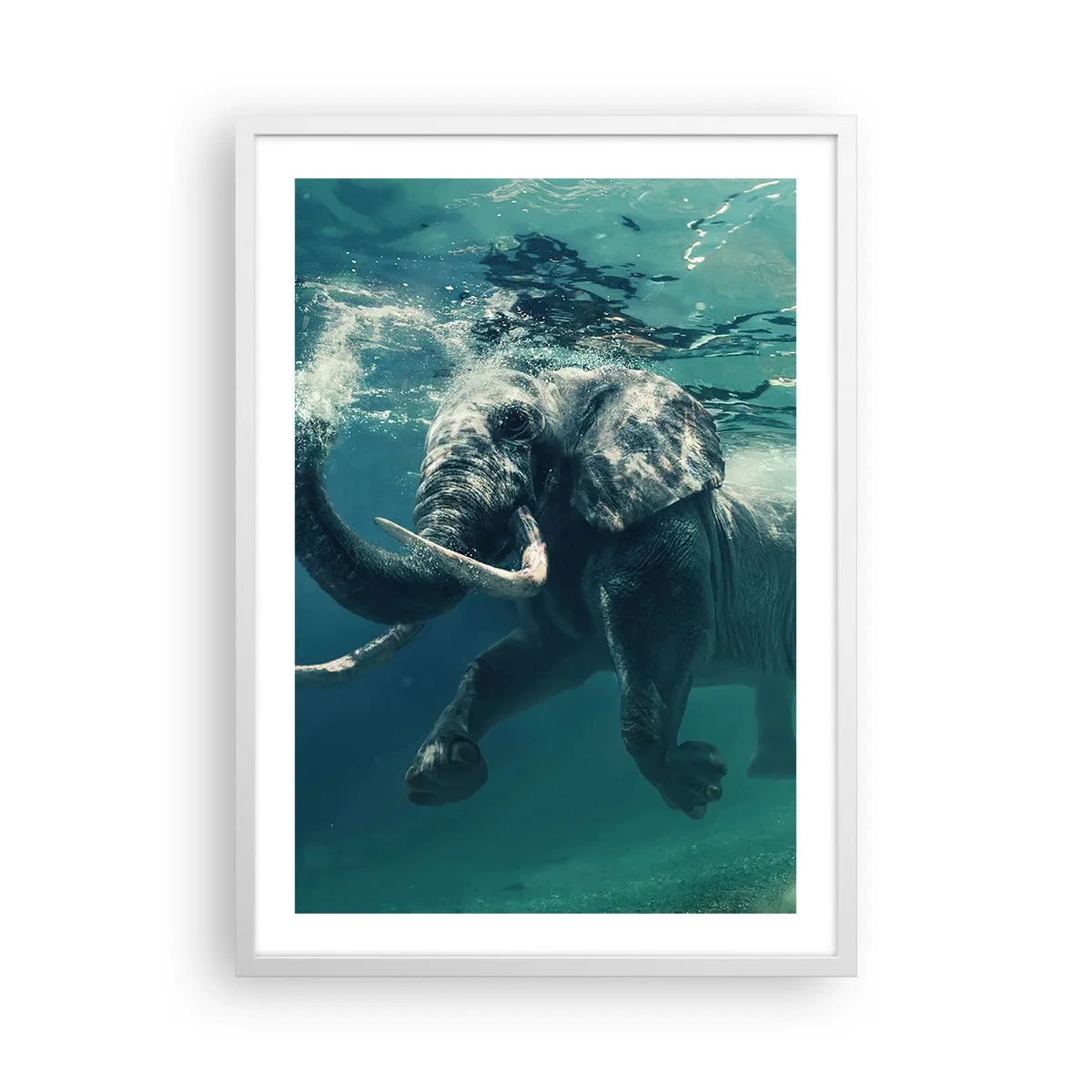 Affisch i vit ram - Alla tycker om att simma - 50x70 cm