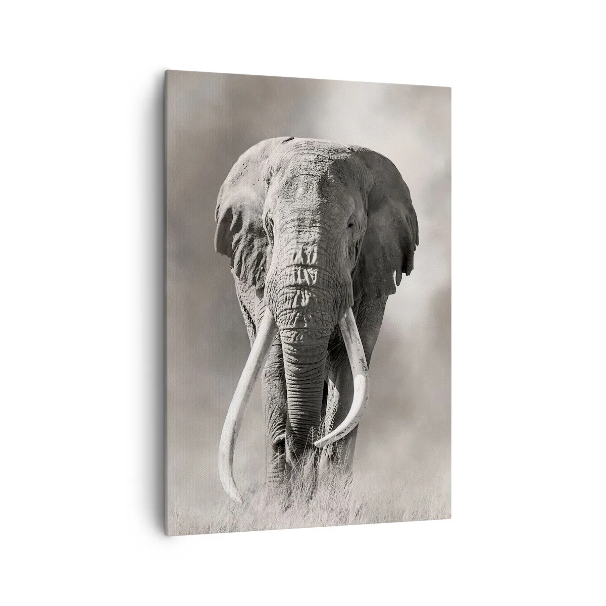 Canvastavla - Bild på duk - Afrikansk patriark - 70x100 cm