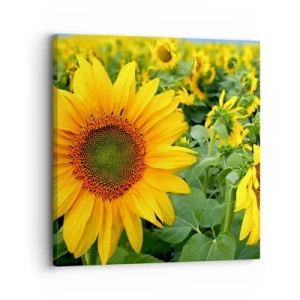 Canvastavla - Bild på duk - Hundratals brinnande solar - 30x30 cm
