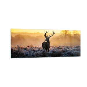 Glastavla - Bild på glas - Krönt på sin mark - 140x50 cm