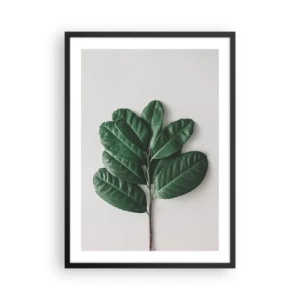 Affisch i svart ram - En gren med mörkgröna blad på en ljus bakgrund - 50x70cm - Själva naturens bild - Modern väggdekoration för vardagsrum och sovrum ARTTOR
